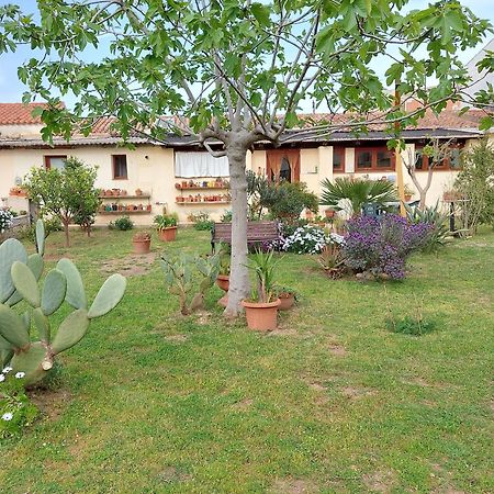 Garden Rooms Olbia Esterno foto