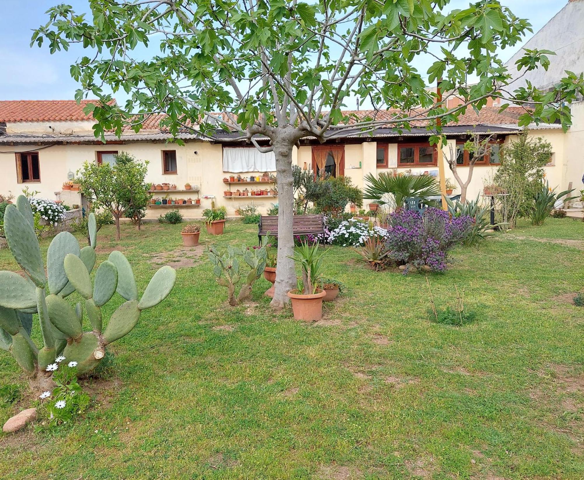 Garden Rooms Olbia Esterno foto